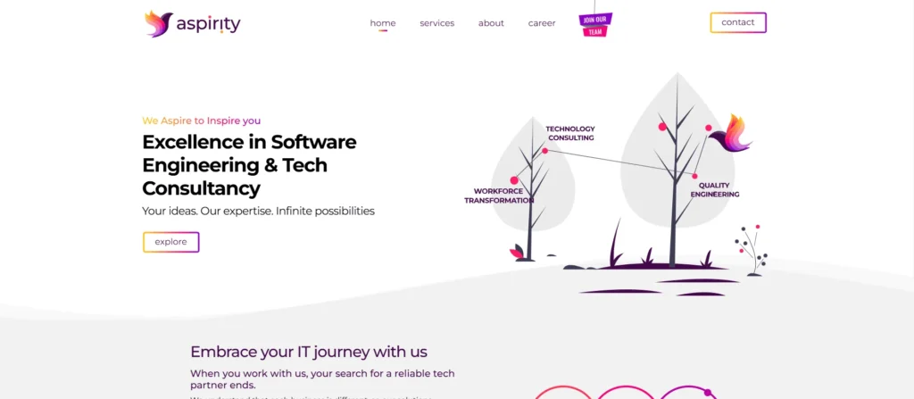 aspirity website design
